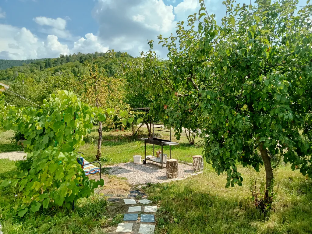 Домик в подгорье Жигулей