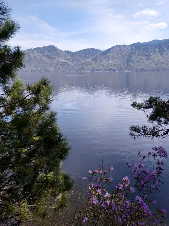 Дом сканди с камином с видом на озеро