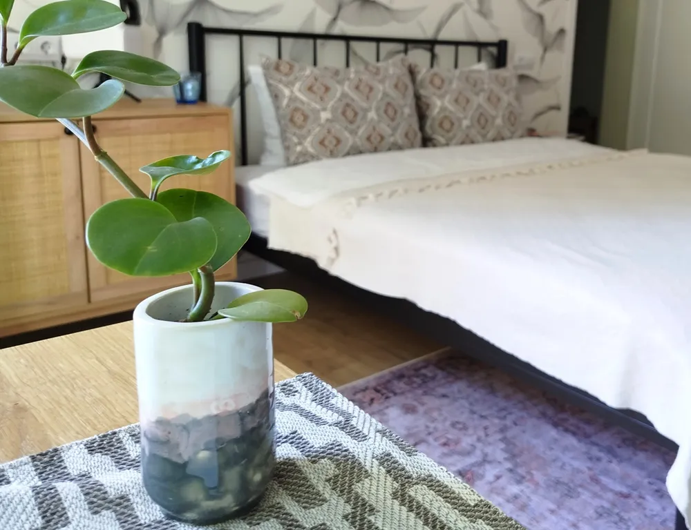 Квартира Апартаменты «Муза» в центре Калининграда | Амалиенау | До 3 гостей — Калининград