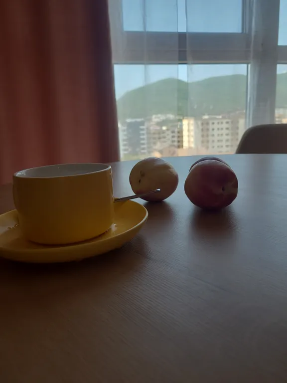 Великолепный вид на море и горы