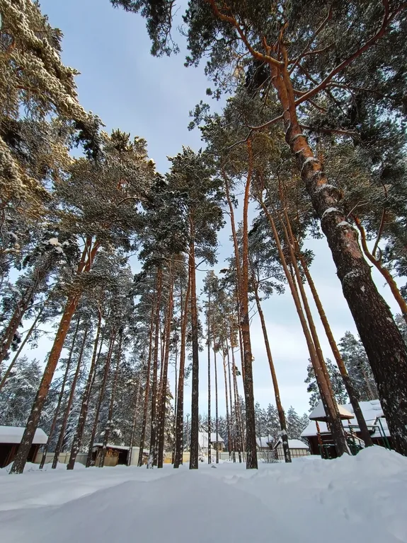 Дом-дуплекс