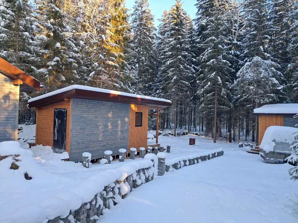 Уютный дом в еловом лесу