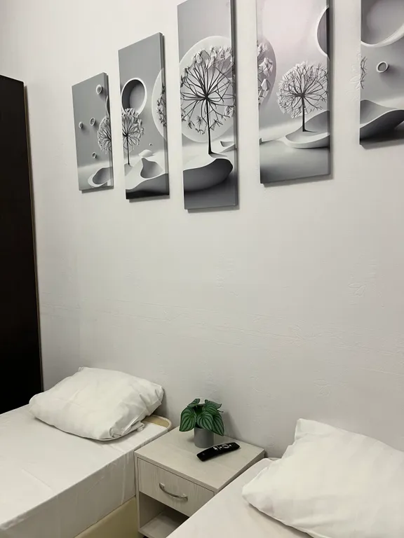 Апартаменты в центре 1-комнатная квартира 1М