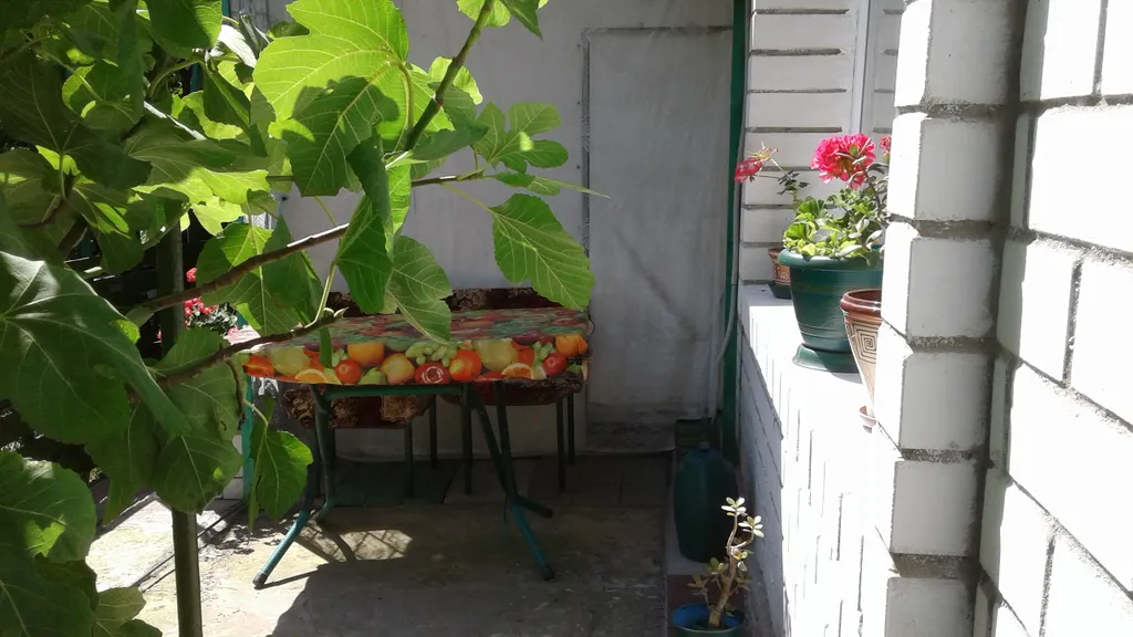 Уютная однокомнатная квартира с зеленым двором