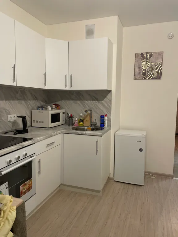 Студия жк анкудиновский парк