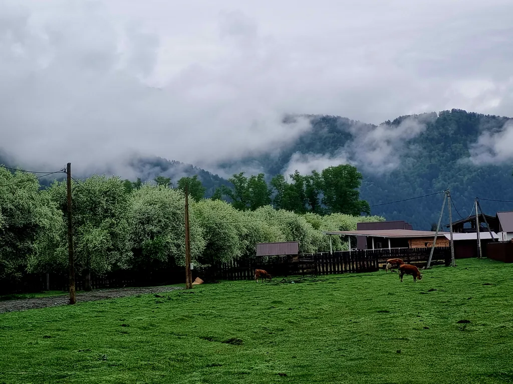 Дома возле Катуни среди гор
