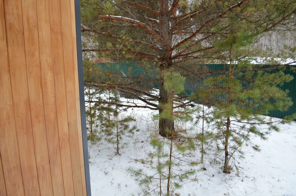 Гостевой Дом в лесу