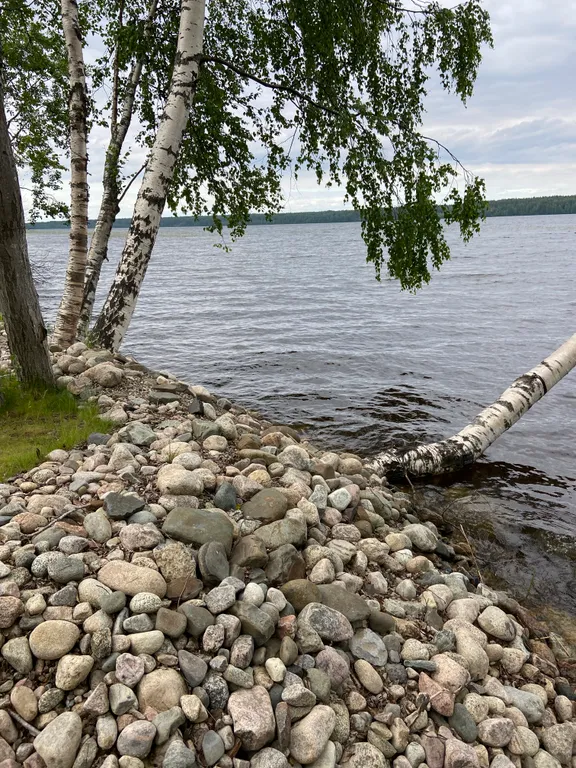 Дом с купелью на берегу Онежского озера