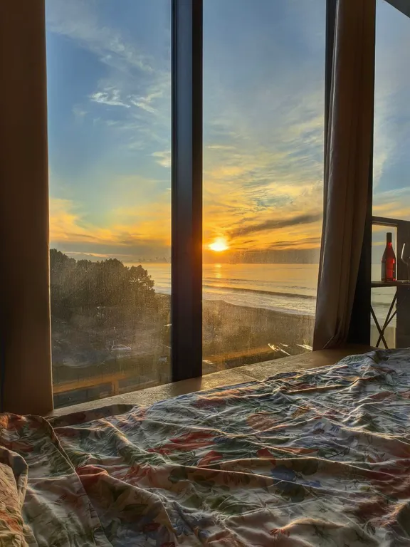 Boho apartment Tropical garden