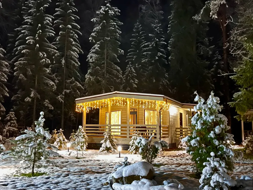 Коттедж Коттедж на озере Волго на Селигере в сосновом бору — Турбаза Чайка