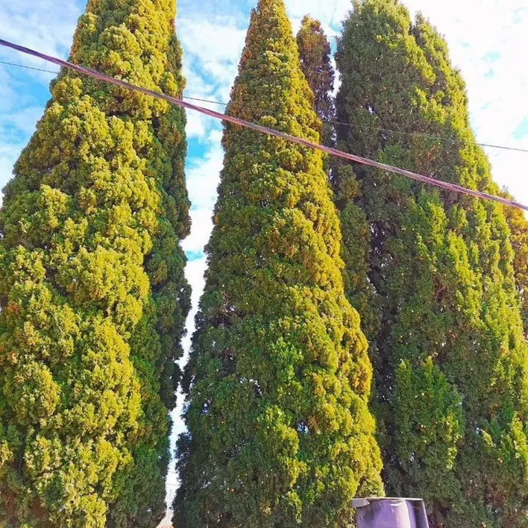 Этаж дома в центре с видом на море и горы