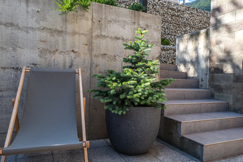 2-х комнатные апартаменты с выходом на патио