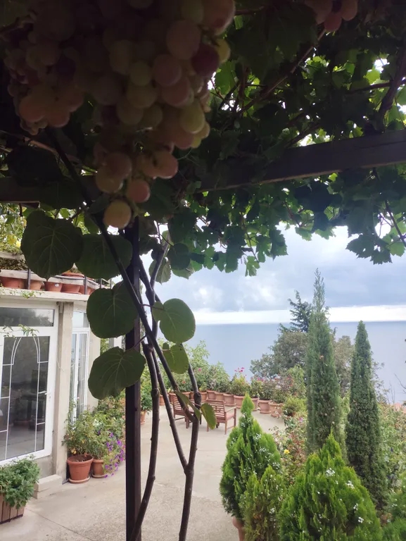 Уютный двухкомнатный домик в райском саду с видом на море