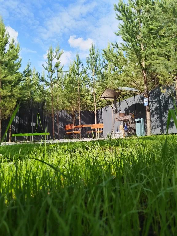 Домик, чан, баня в сосновом лесу, закрытая территория