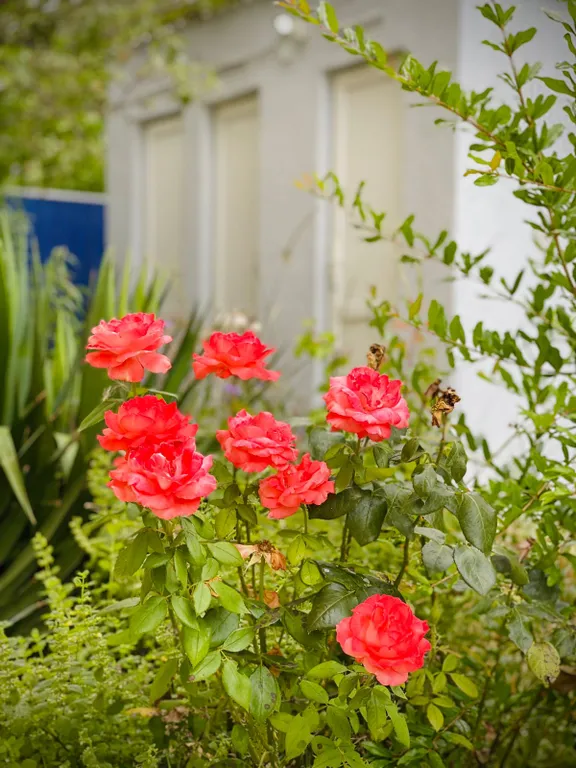 Дача у моря