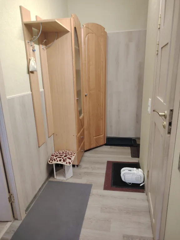 Апартаменты с видом на гору