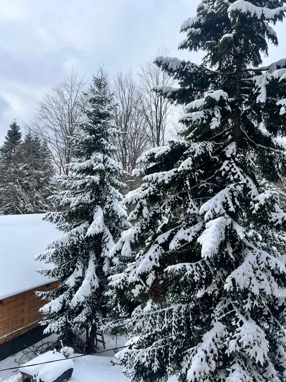 Домик в лесу с видом на горы Архыза с баней
