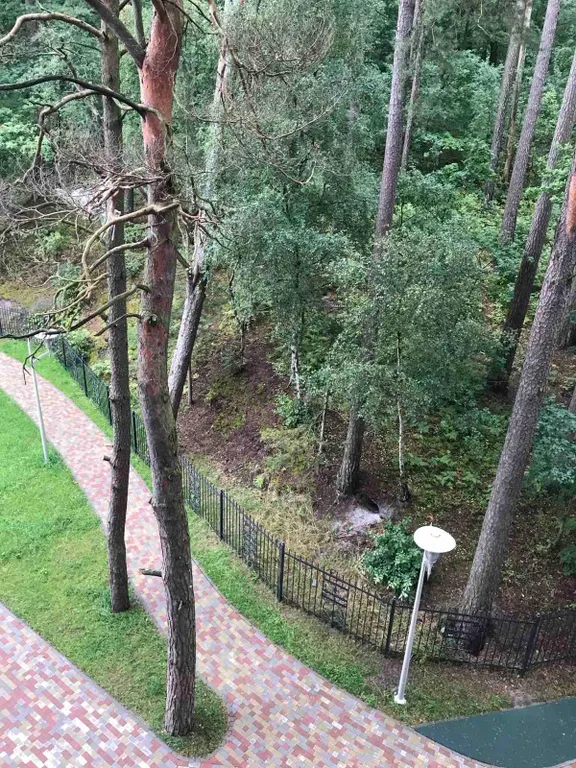 Квартира Квартира Апартамент Шепот волн — Светлогорск