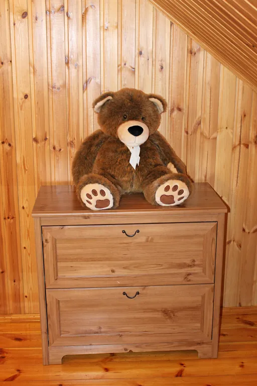 Двухэтажный дом за городом