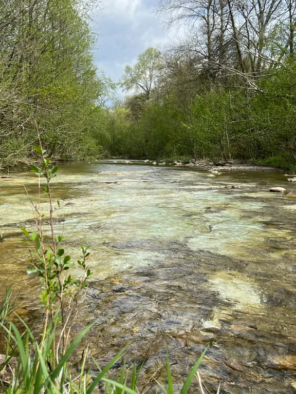 Коттедж Уютный дом с джакузи в лесу недалеко от Краснодара — Северская