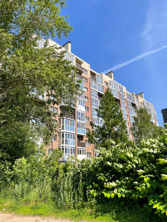 Квартира Светлая просторная однокомнатная квартира с индивидуальным отоплением — Ярославль