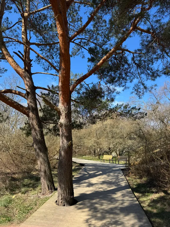 Апартаменты у моря