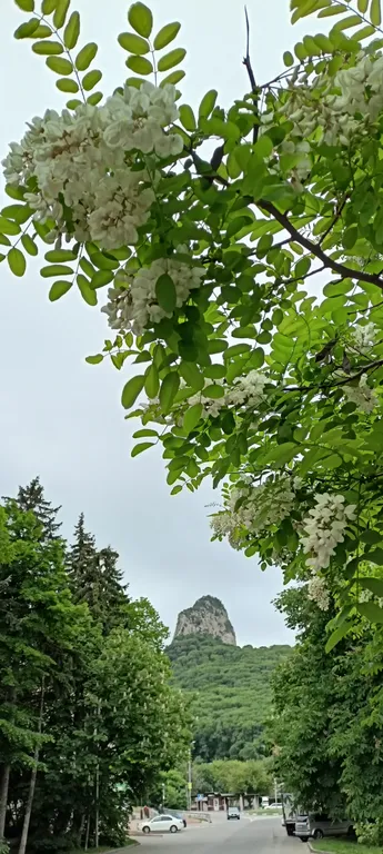 Уютный гостевой дом