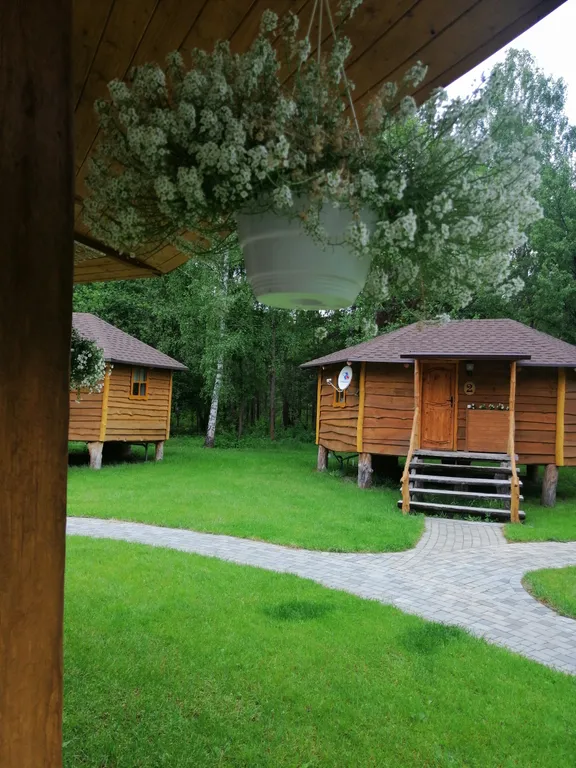 Уютные бунгало на лесной опушке