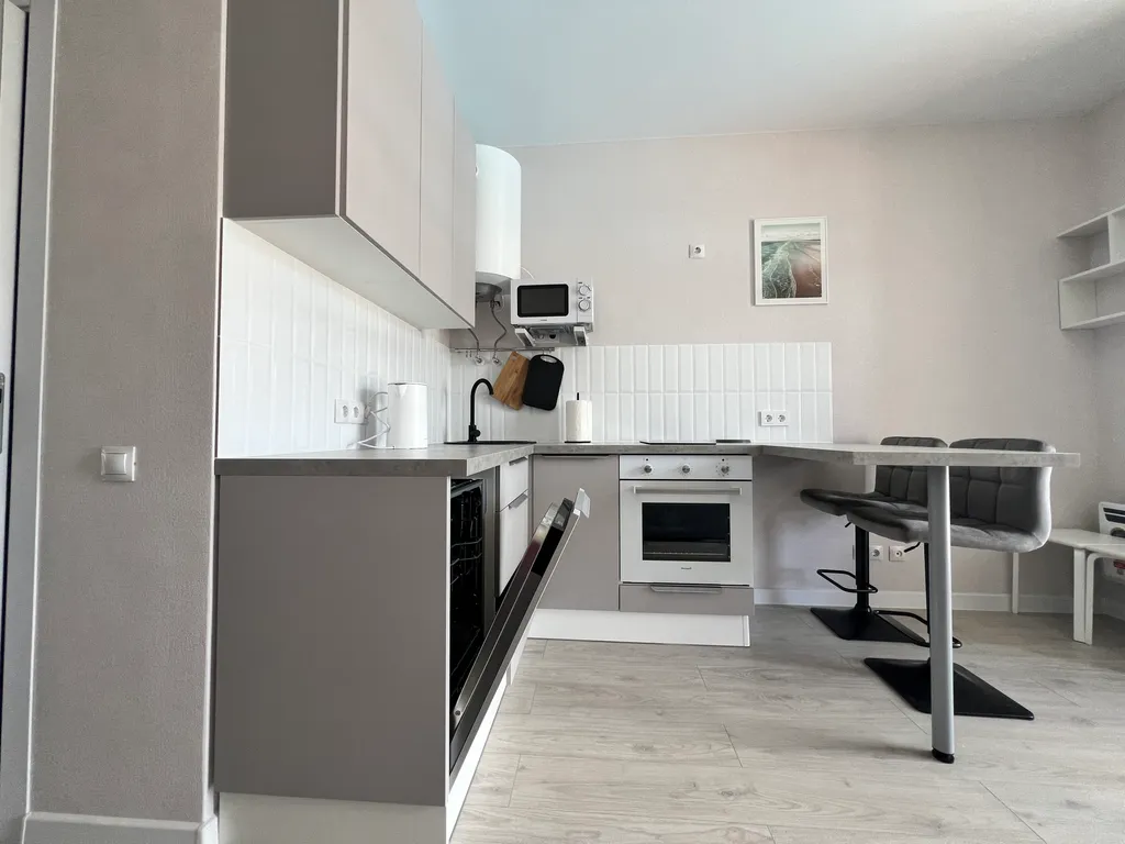 Видовая студия с посудомоечной машиной и духовкой