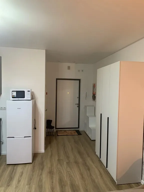 Просторная студия в Ватутинках