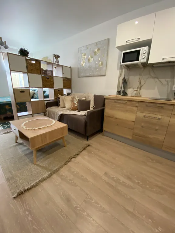 Студия в стиле Сканди с видом на Кремль