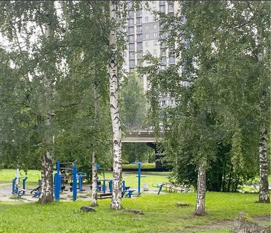 Квартира с видом на парк