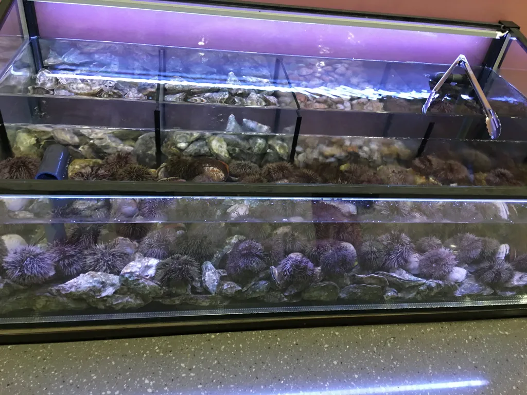 Панорамный апарт Прованс дома Зазеркалье в Приморском  парке