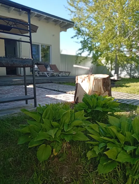 Коттедж Балтийская нерпа — Зеленоградск