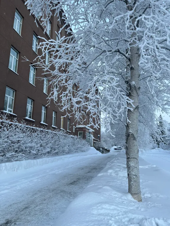 Квартира с видом на горы Хибины