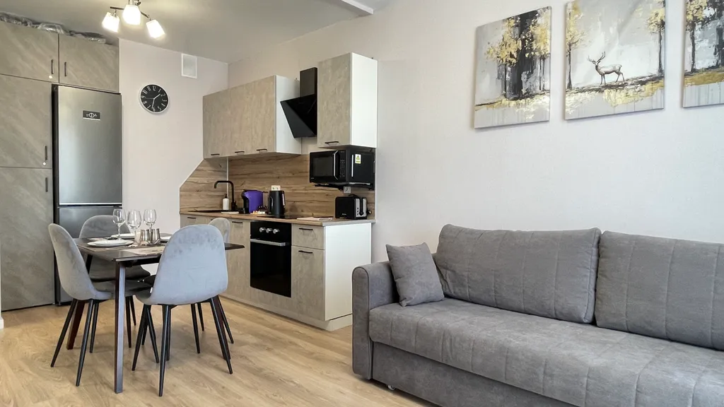 Апартамент рядом с аэропортом Внуково