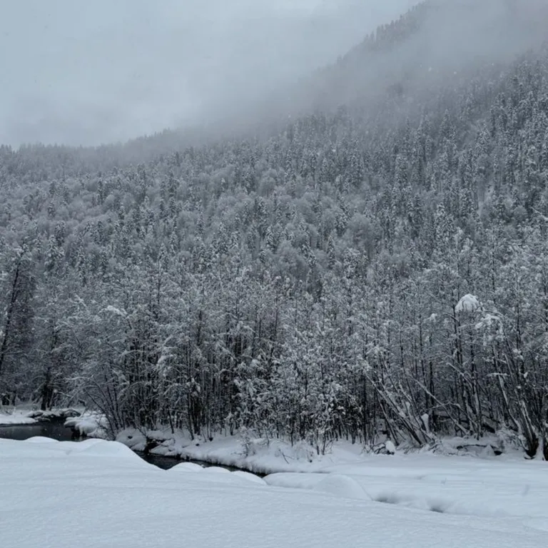 Коттедж Новый коттедж в лесу — Архыз