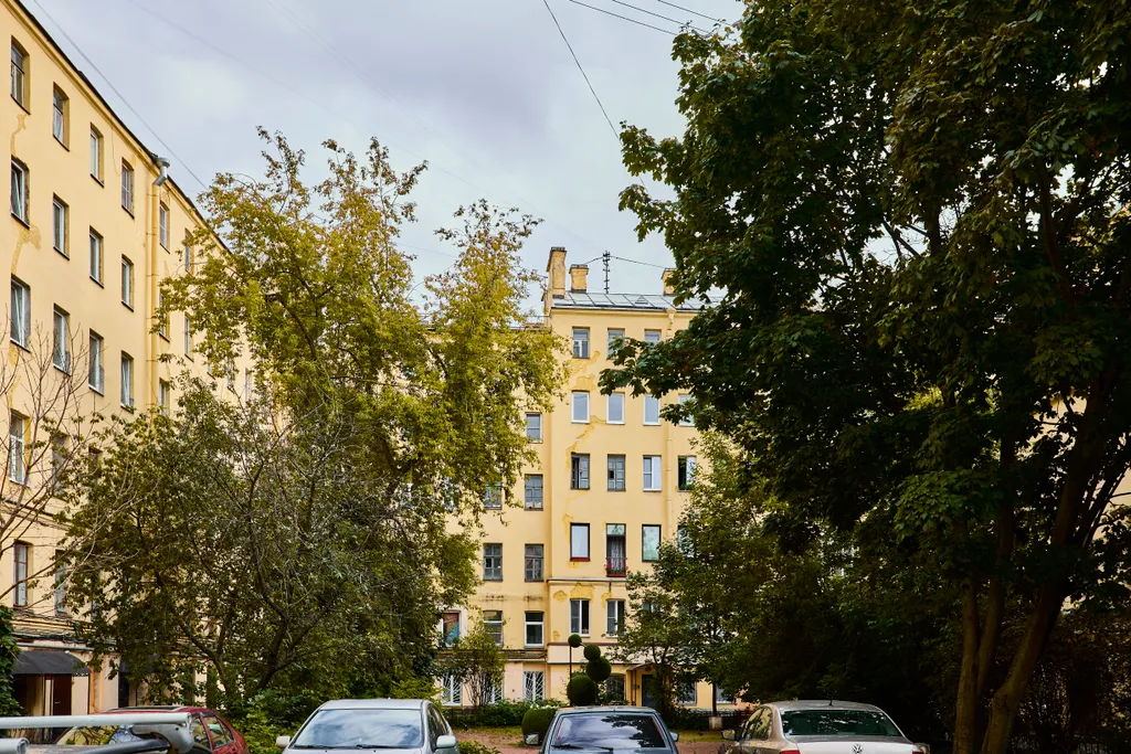 Студия Африка