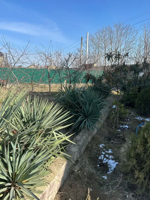 Коттедж Уютный дачный домик — Дербент