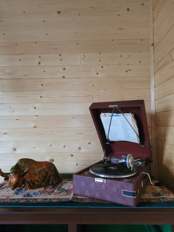 Атмосферный дом в старинном Торжке