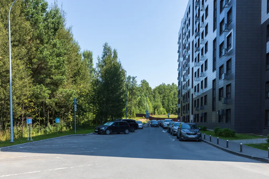 Квартира Уютная квартира в берёзовой роще — Казань