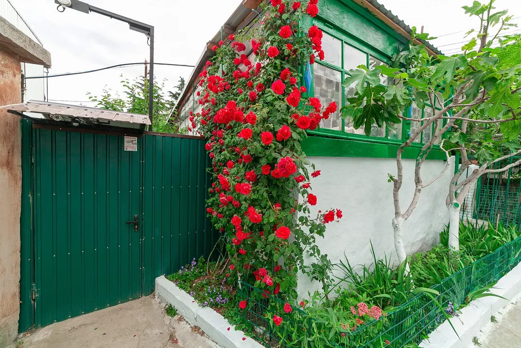 Апартаменты - студия с видом на море