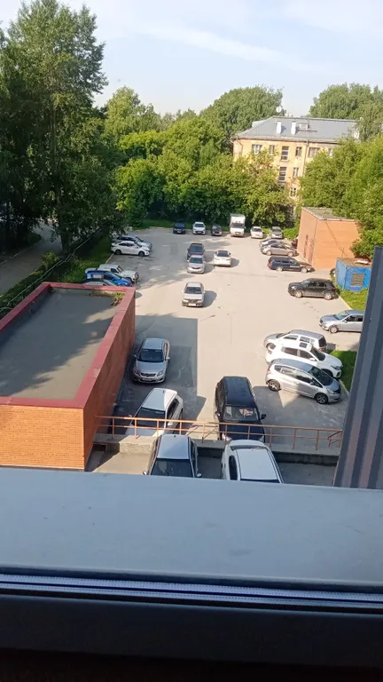 Уютная студия у зоопарка и дендропарка