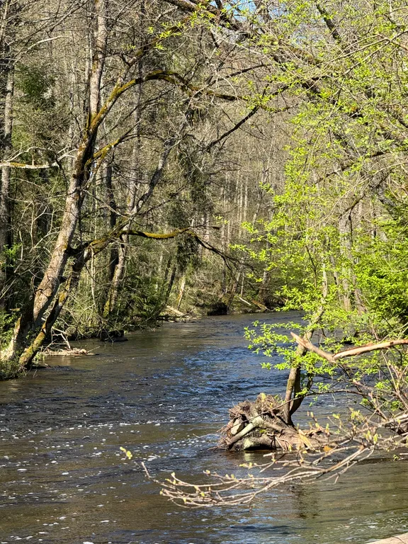 Концепт-усадьба возле голубых озер Речная пристань