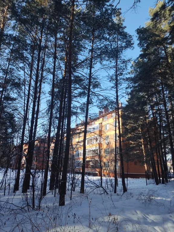 Апартаменты в соснах