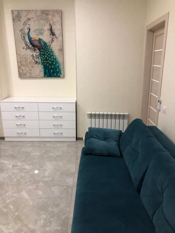 Шикарные апартаменты в центре с террасой