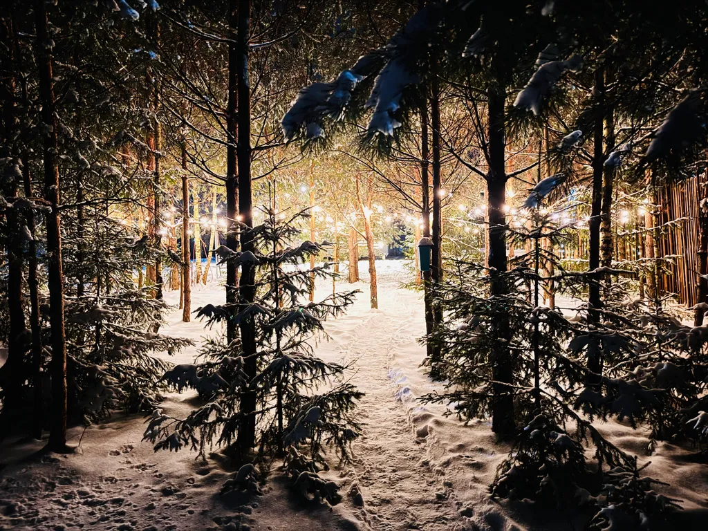 Коттедж Домик на опушке леса с банным чаном — Ногинск