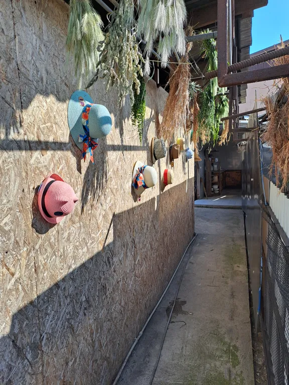 Дом недалеко от моря