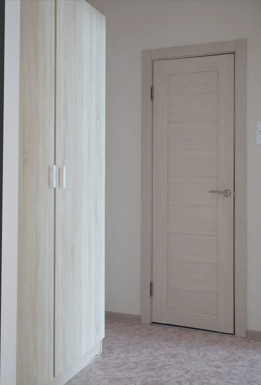 Просторная квартира у парка Рускеала