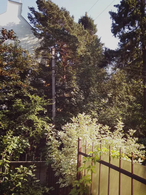 Уютная квартира в старинном немецком доме